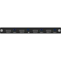 Digibird DB-AVCL-US-IC-4K60DP4